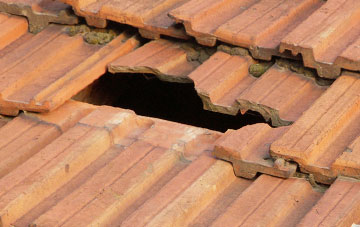 roof repair Raggra, Highland