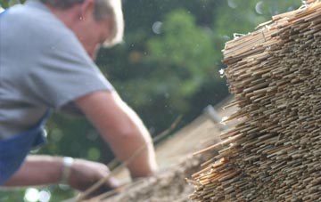 professional Raggra thatchers