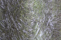 Raggra fibreglass roof work