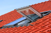 Raggra roof window